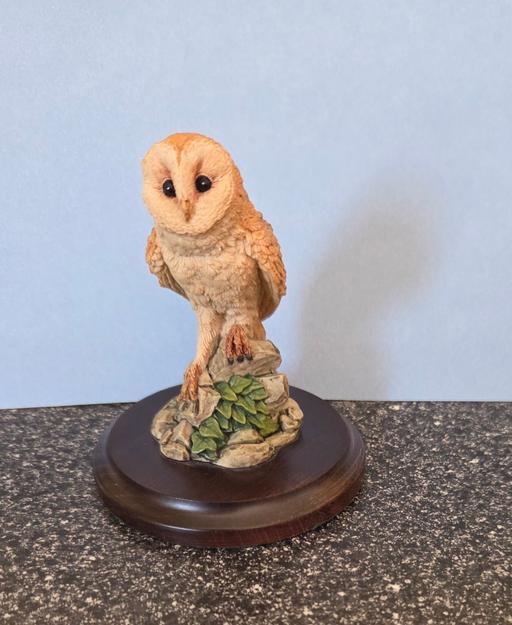 Buy & Sell Kent Thanet - Photos for BABY BARN OWL(COLLECTABLE)