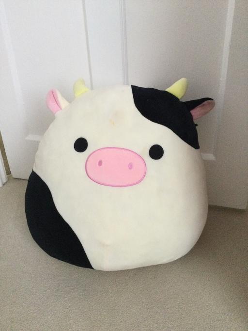 Buy & Sell Shildon County Durham - Photos for Squishmallow 18”high.