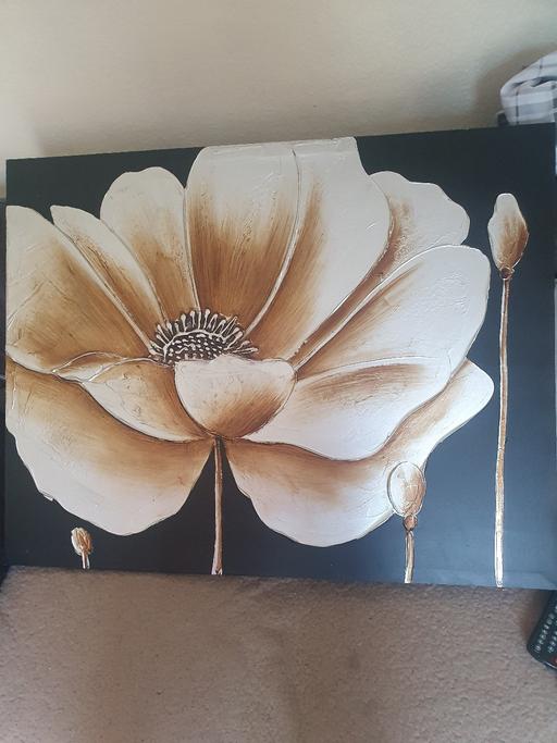 Buy & Sell West Midlands Dudley - Photos for 2 Matching Flower Pictures, Good Condition.
