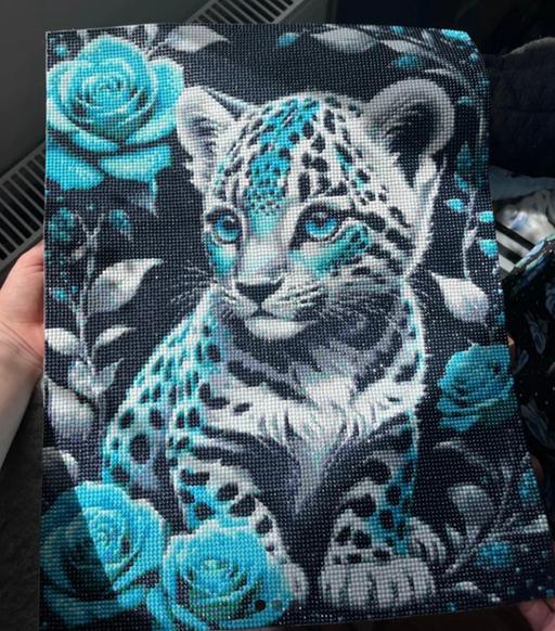 Buy & Sell Lincolnshire East Lindsey - Photos for Leopard print DIY diamond painting