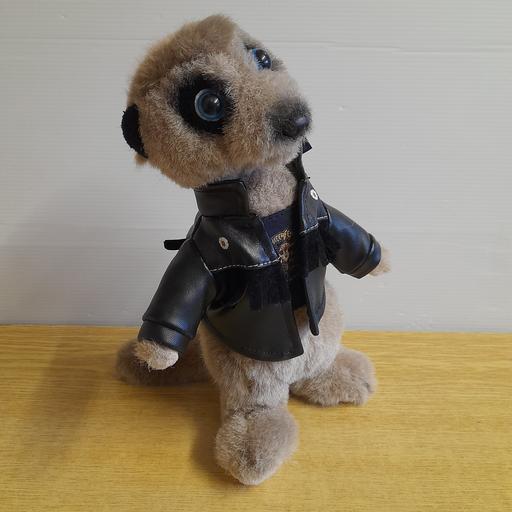 Buy & Sell Lancashire South Ribble - Photos for VASSILY MEERKAT