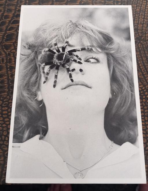 Buy & Sell Merseyside Saint Helens - Photos for statics postcard london tarantula spider