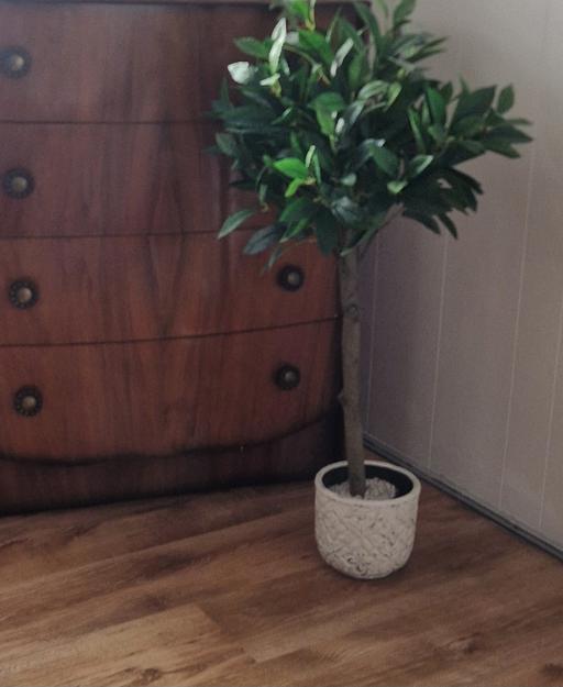 Buy & Sell Worcestershire Bromsgrove - Photos for 3 foot tall faux bay tree plant in pot