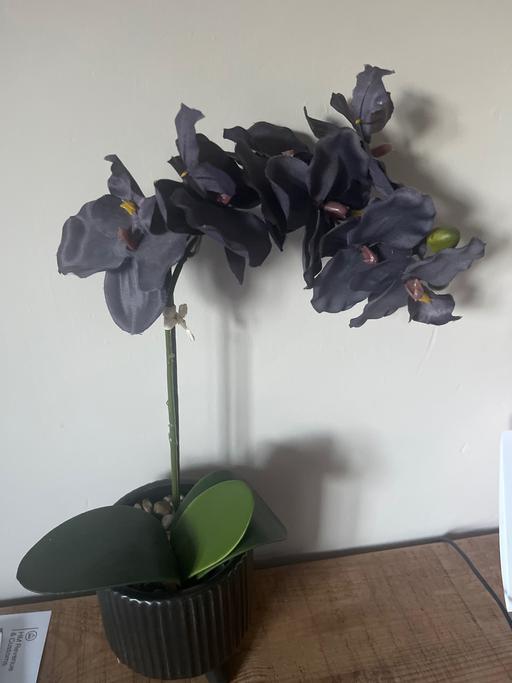 Buy & Sell South Yorkshire Doncaster - Photos for Artificial orchid plant in pot