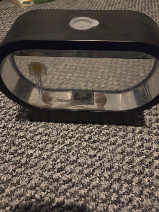 Buy & Sell Merseyside Knowsley - Photos for Jellyfish Moving Light Wireless