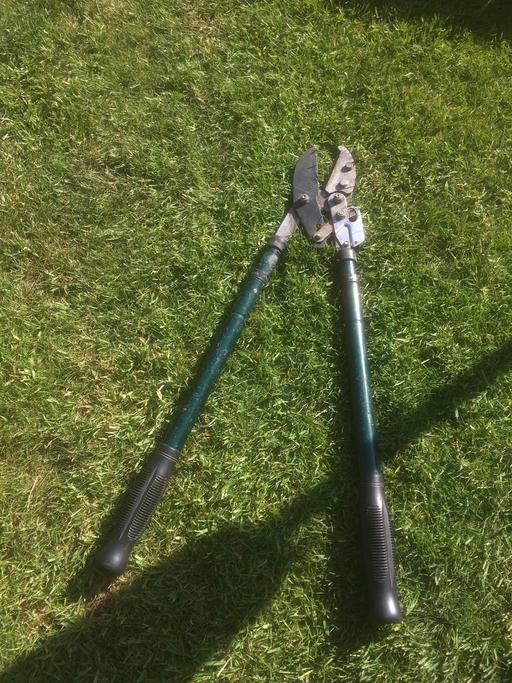 Buy & Sell West Midlands Walsall - Photos for Telescopic loppers