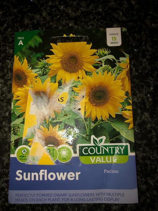 Buy & Sell West Midlands Wolverhampton - Photos for Sunflower seeds🌻
