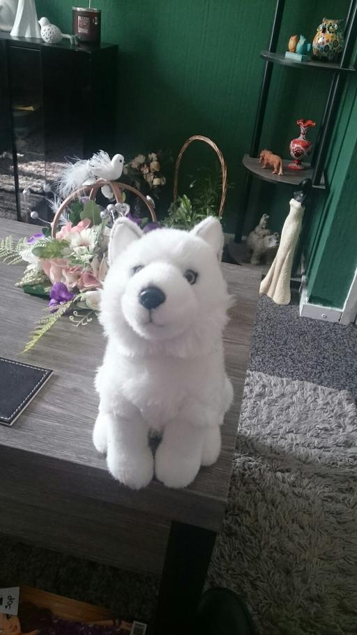 Buy & Sell Smethwick Sandwell - Photos for soft toys