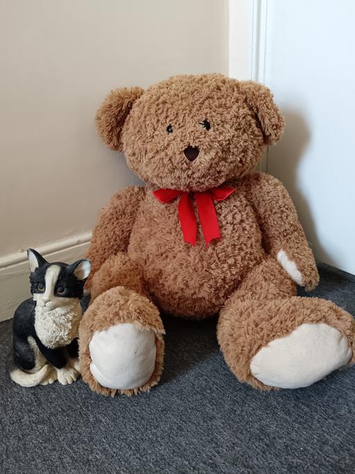 Buy & Sell Gloucestershire Gloucester - Photos for very large bear - like new