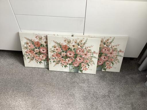 Buy & Sell South Yorkshire Barnsley - Photos for Dunelm canvas pictures