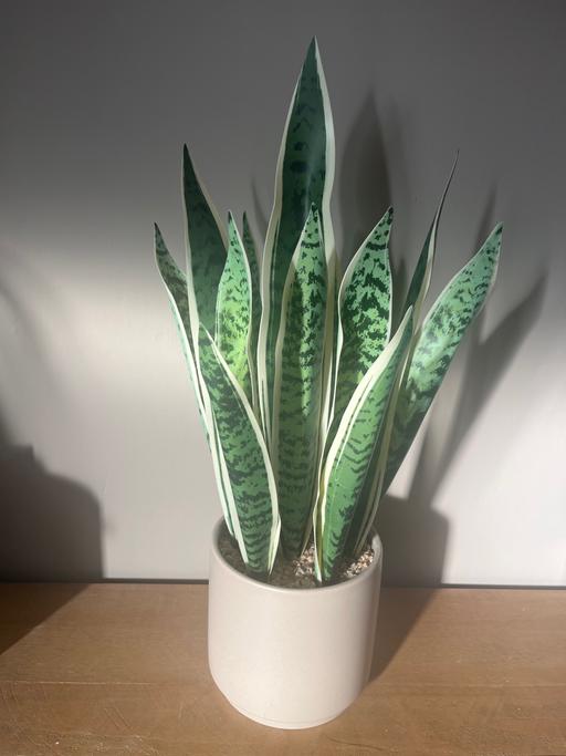 Buy & Sell South Yorkshire Doncaster - Photos for Artificial plant large with pot