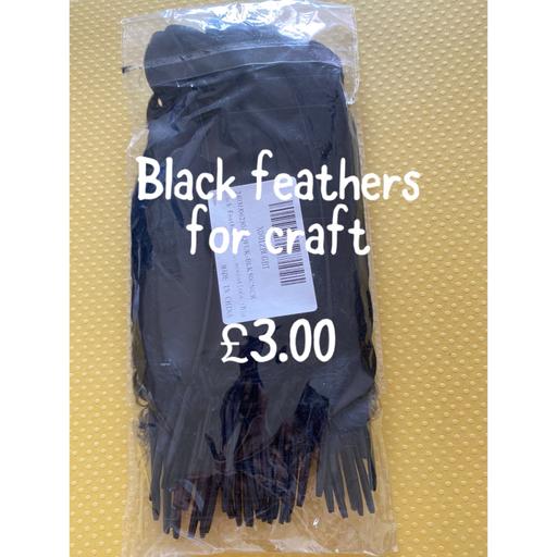 training West Midlands Birmingham - Photos for Black feathers for crafting