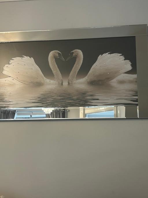 Buy & Sell West Midlands Wolverhampton - Photos for Swan picture with mirror edging