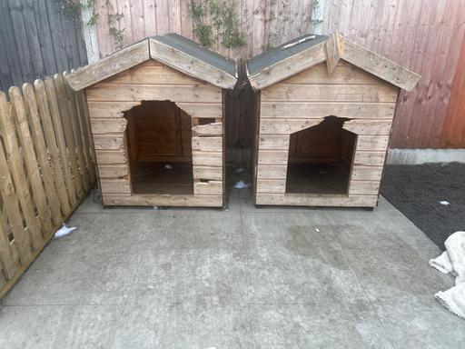Buy & Sell Dudley West Midlands - Photos for Dog houses for sale