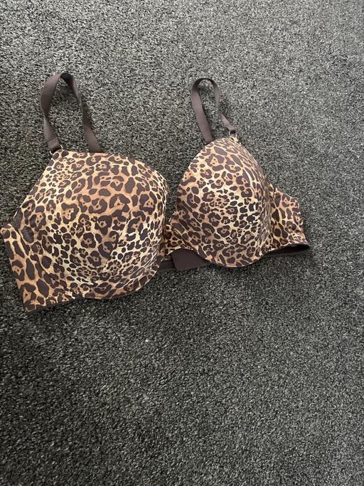 Buy & Sell South Yorkshire Doncaster - Photos for Padded bra animal print 38D