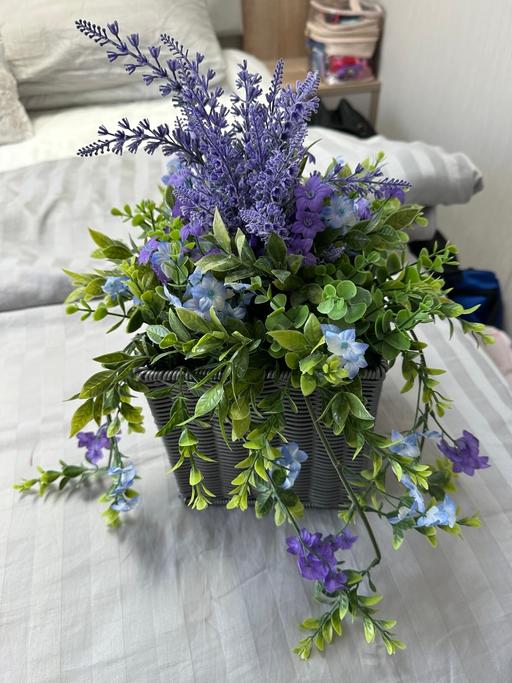 Buy & Sell Flintshire - Wales Gwespyr - Flintshire - Photos for Artificial rattan plant