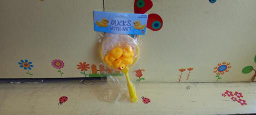Buy & Sell Westcliff-on-Sea Southend-on-Sea - Photos for Ducks with net
