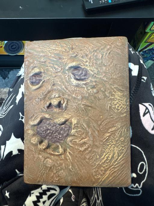 Buy & Sell West Midlands Walsall - Photos for The evil dead dvd collectors book
