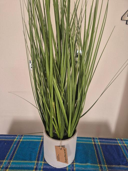 Buy & Sell North London Bounds Green - N22 - Photos for Artificial floor plant