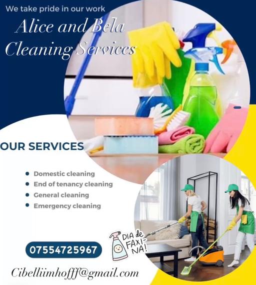 Buy & Sell South West London Streatham Common - South West London - Photos for Cleaning and ironing