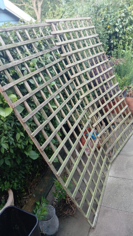 Buy & Sell Merseyside Saint Helens - Photos for Garden trellis