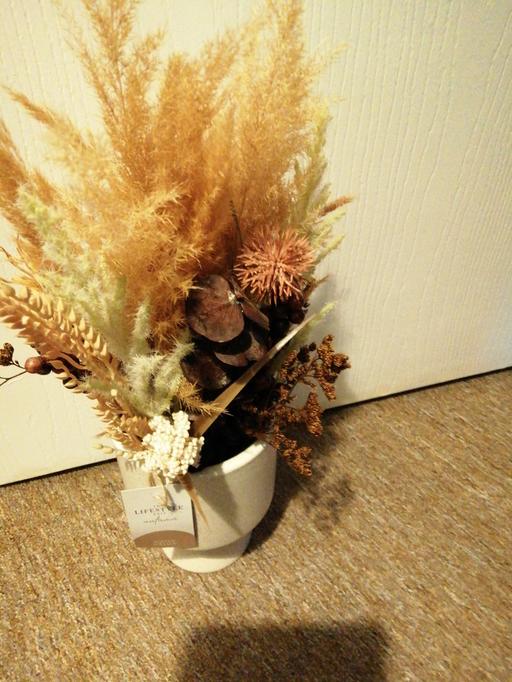 Buy & Sell Wednesfield Wolverhampton - Photos for Autumn flowers