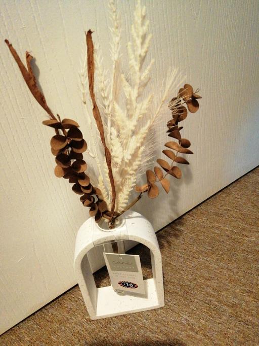 Buy & Sell Wednesfield Wolverhampton - Photos for Dried flowers in test tube