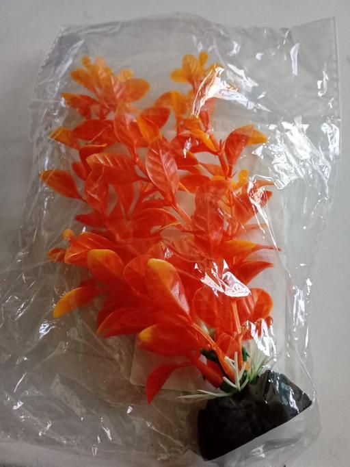 Buy & Sell Lincolnshire East Lindsey - Photos for brand new fish tank plant