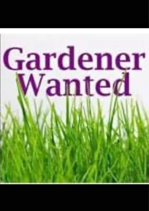 Buy & Sell West Midlands Birmingham - Photos for Gardener Wanted B45 area