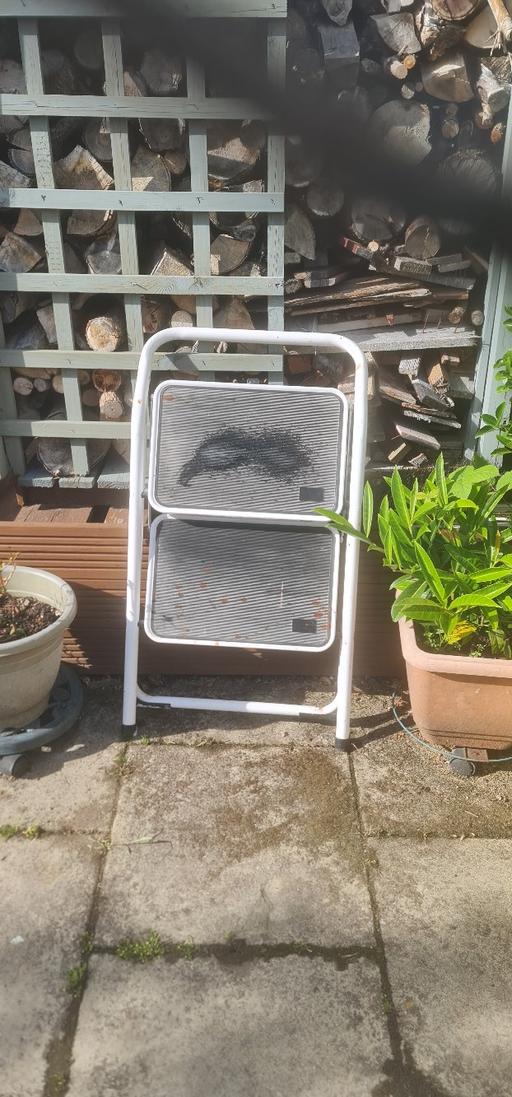 Buy & Sell Bradley Fold Bury - Photos for step ladder