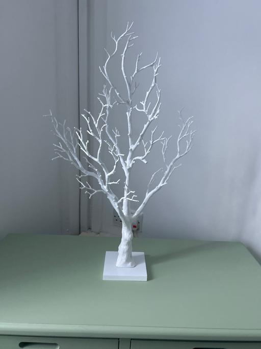 Buy & Sell South Yorkshire Barnsley - Photos for White Wood tree new