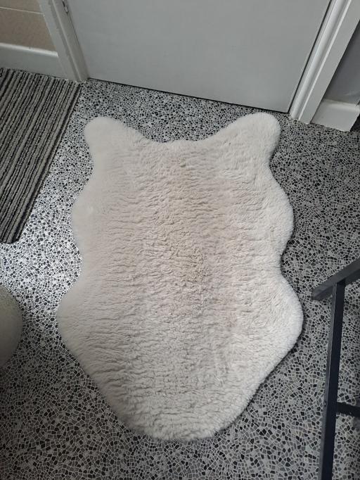 Buy & Sell South Yorkshire Sheffield - Photos for fur rug
