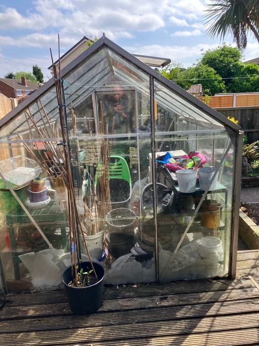 Buy & Sell West Midlands Walsall - Photos for Greenhouse