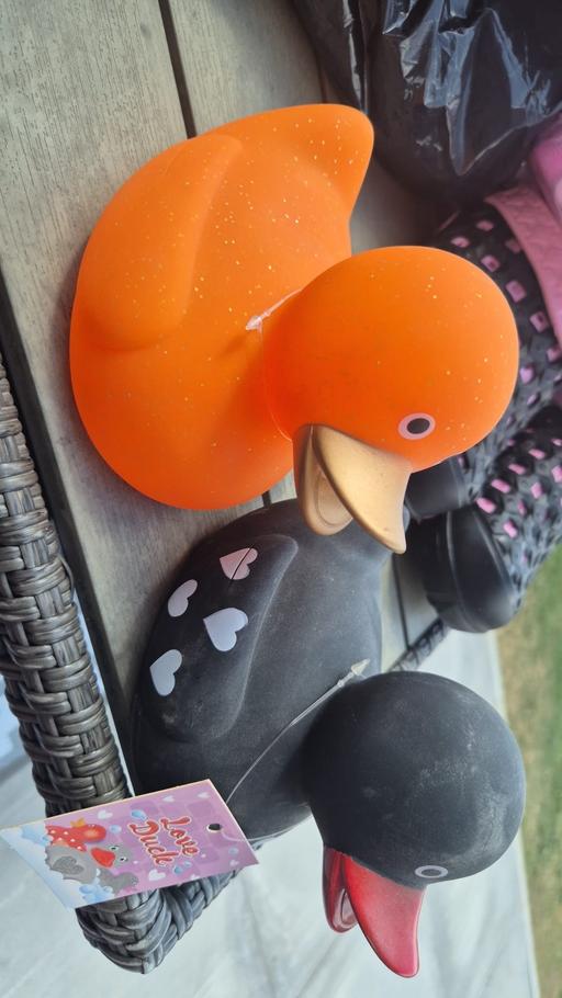 Buy & Sell South Yorkshire Sheffield - Photos for ducks
