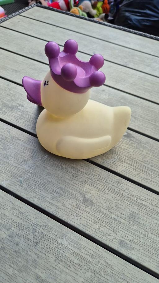 Buy & Sell South Yorkshire Sheffield - Photos for duck