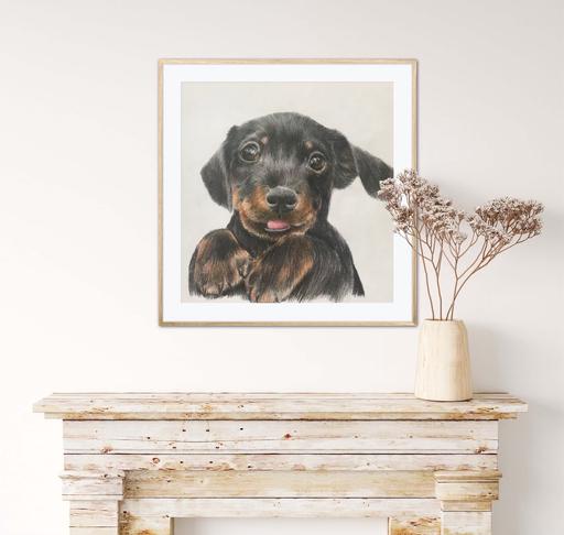 Buy & Sell South Yorkshire Sheffield - Photos for A4 Pet Portrait