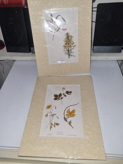 Buy & Sell Bournville Birmingham - Photos for Pair of Vintage Prints