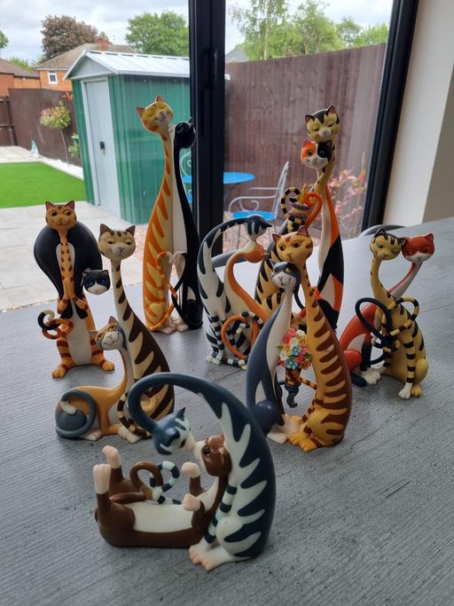 Buy & Sell West Midlands Sandwell - Photos for Border Fine Arts: Cool Cats Collection