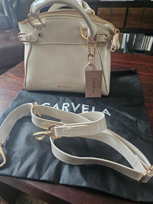 Buy & Sell Hertfordshire St. Albans - Photos for Carvela mini valentina Tote bag