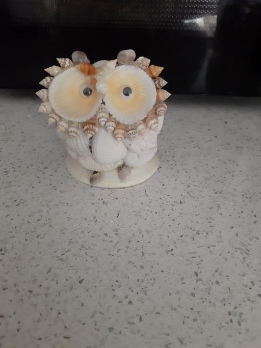 Buy & Sell South Hylton Sunderland - Photos for shell owl