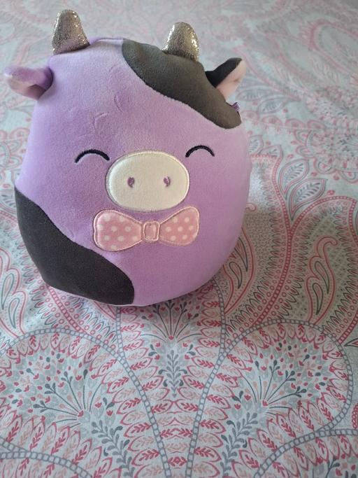 Buy & Sell Dodworth Barnsley - Photos for squishmallow teddy