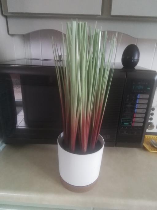 Buy & Sell Streetly Walsall - Photos for ARTIFICAL PLANT IN WHITE POT