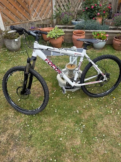 Buy & Sell West Midlands Birmingham - Photos for Focus bike 26”