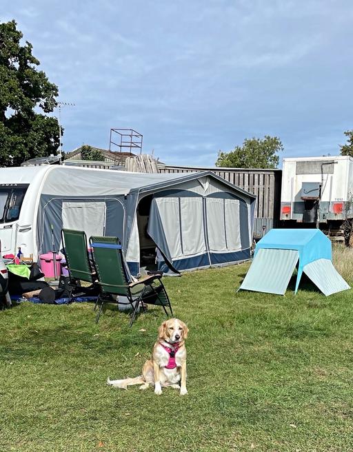 Buy & Sell Kent Dover - Photos for Dorema Deluxe caravan awning