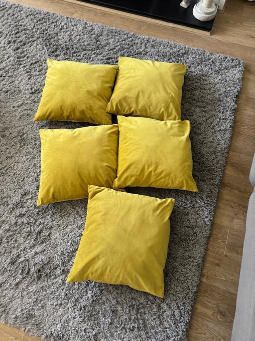 Buy & Sell Cheshire East Alderley Edge - Cheshire East - Photos for 5 Velvet cushions