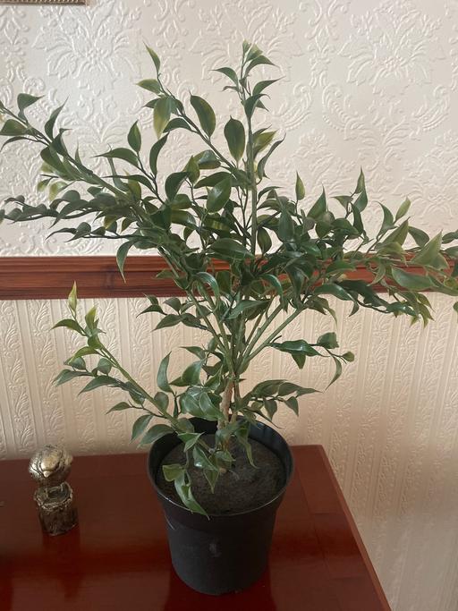Buy & Sell West Midlands Birmingham - Photos for Artificial plant