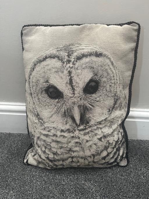 Buy & Sell South Yorkshire Rotherham - Photos for Beautiful rectangle cushion plain back Owl