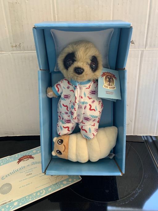 Buy & Sell Birchills Walsall - Photos for Oleg meerkat