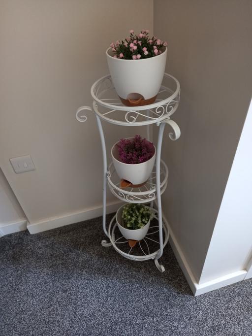 Buy & Sell Blaenau Gwent Beaufort - Blaenau Gwent - Photos for plant stand