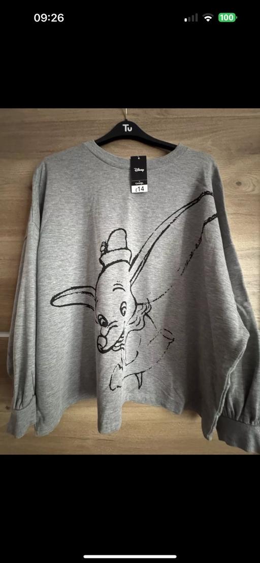 Buy & Sell Brierley Hill Dudley - Photos for Ladies Disney jumper size 20-22
